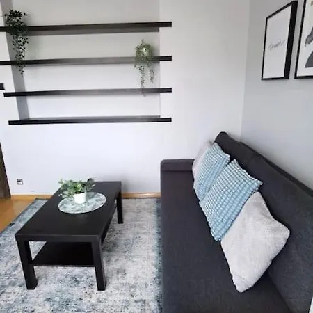 Z Kominkiem Oraz Sauna