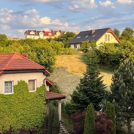Z Prywatnym Mini Oraz Kominkiem Appartement Gdynia